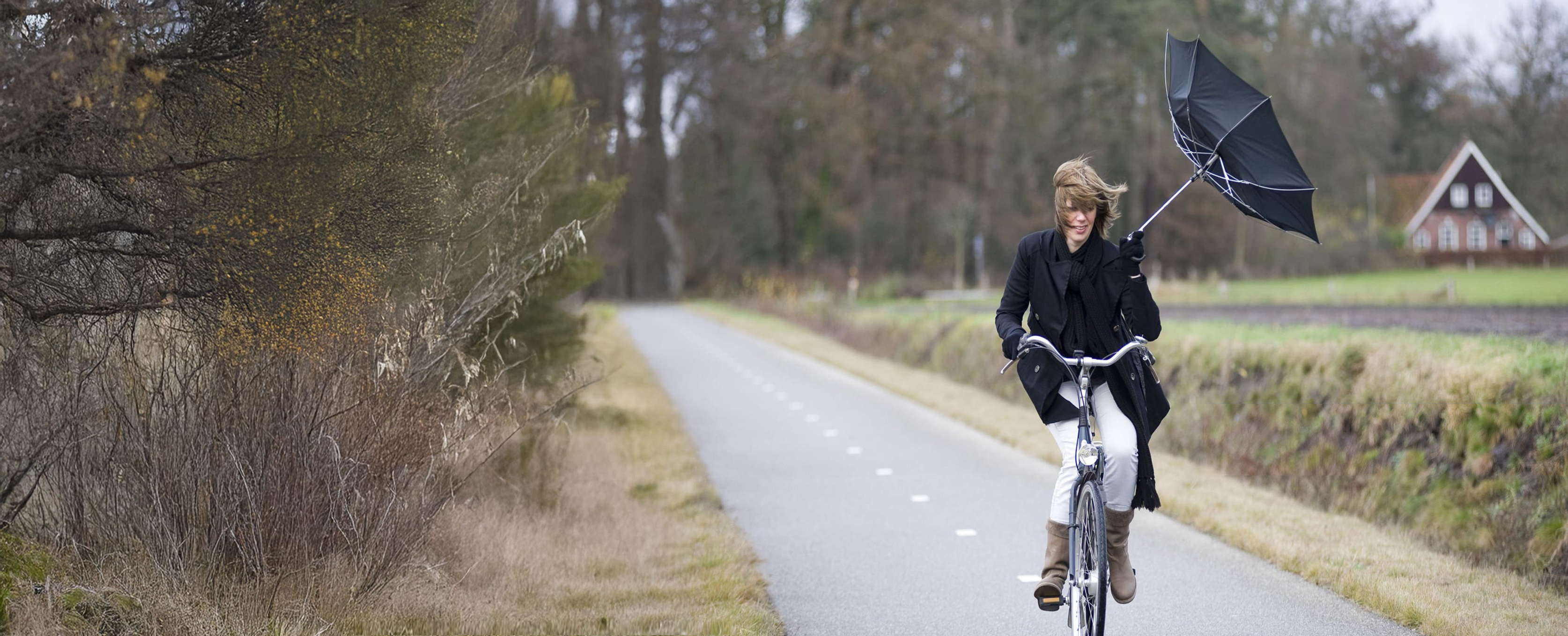 Generieke afbeelding van de achtergrond afbeelding
