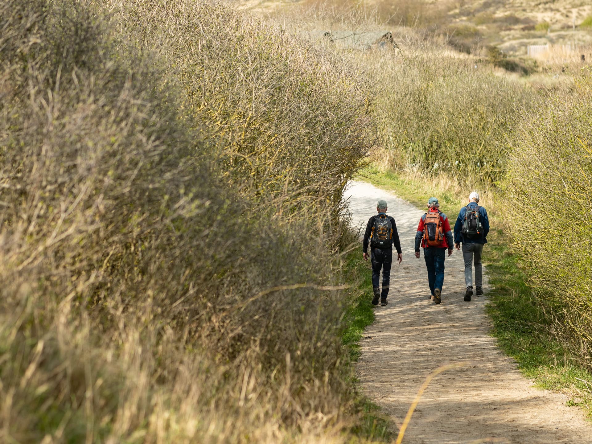 Wandelende mannen in natuurgebied