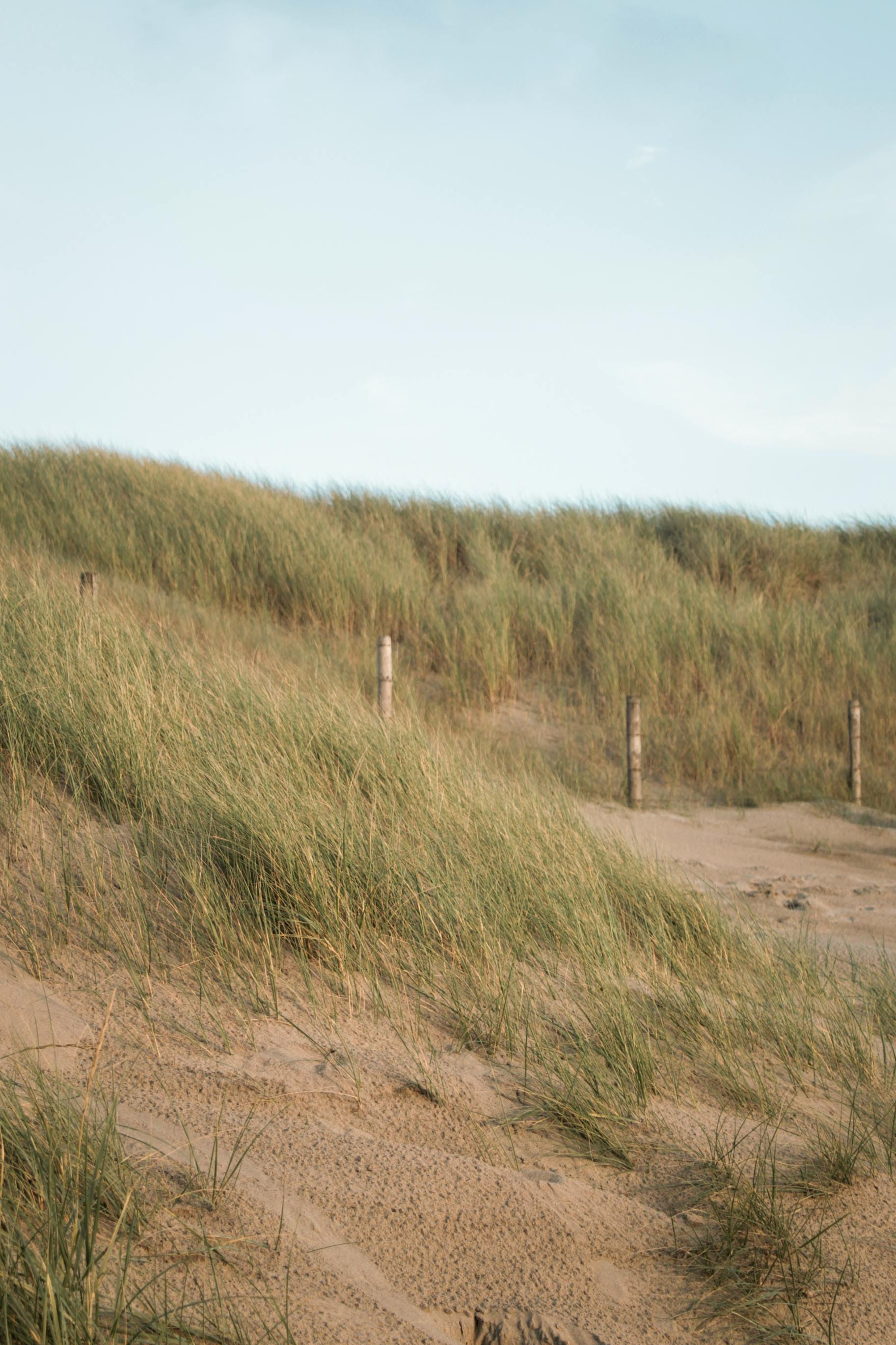 Katwijk duinen