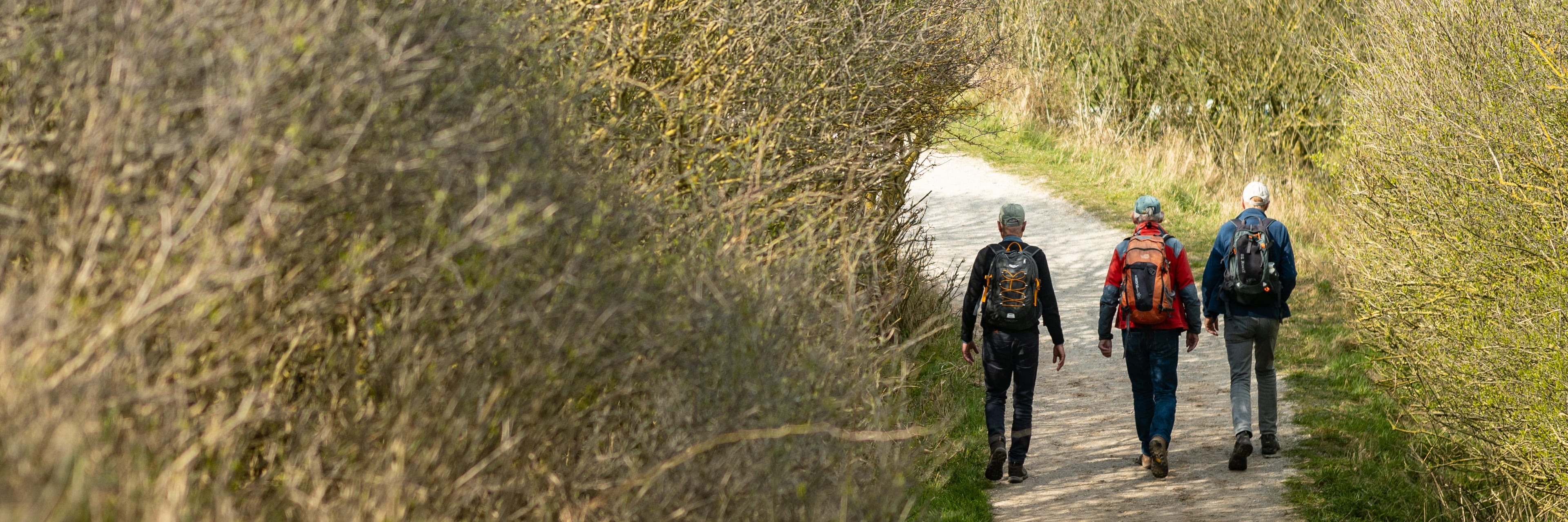 Wandelende mannen in natuurgebied