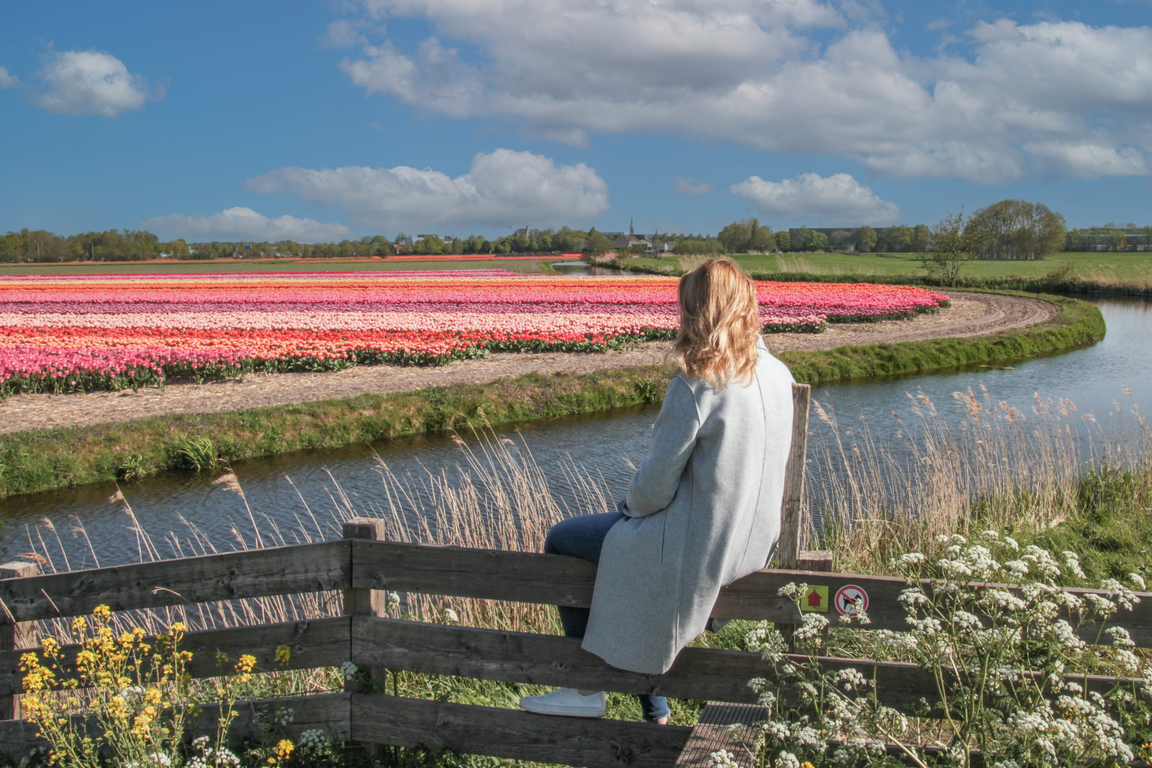 Generieke afbeelding voor image content